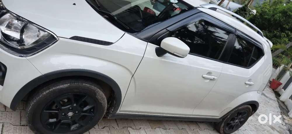 2022 December Maruti Suzuki Ignis