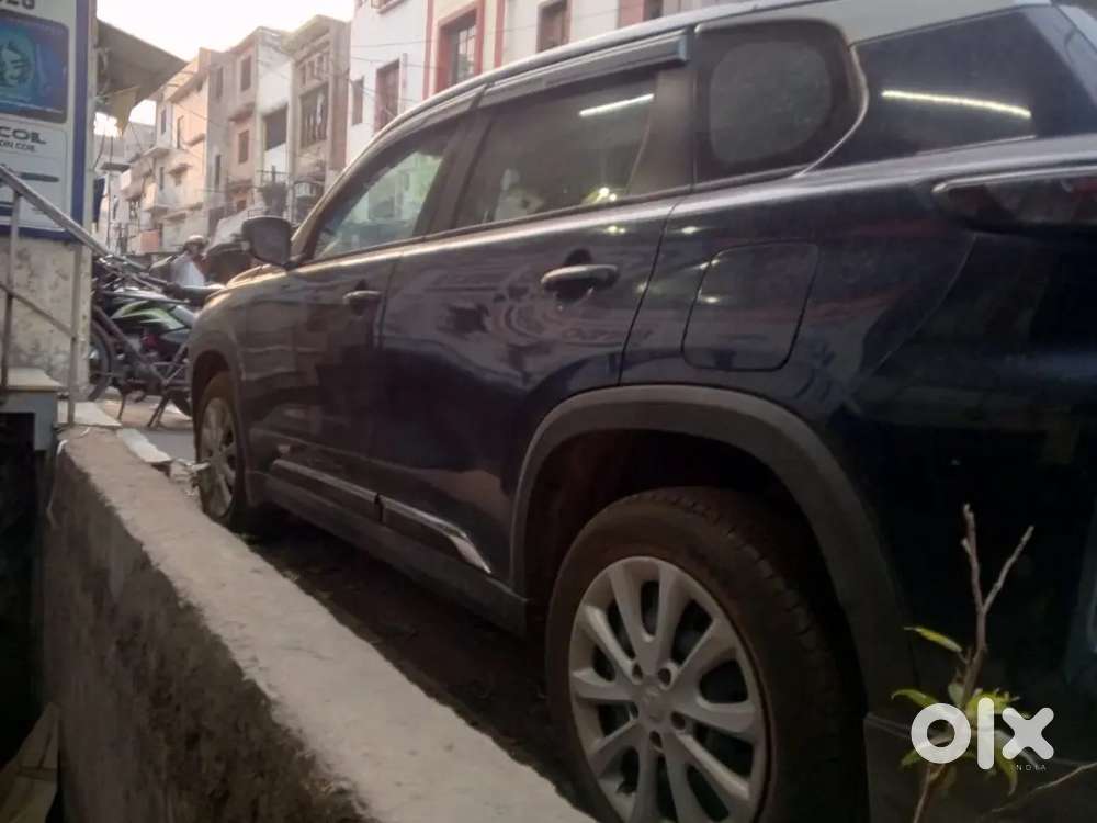 Grand Vitara Petrol Hybrid 2025