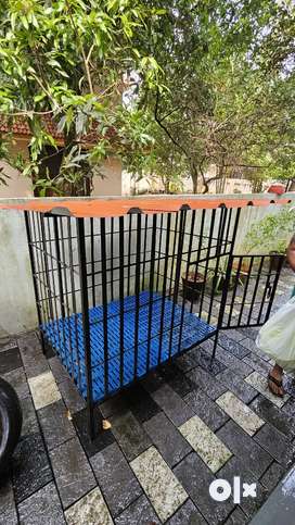 Dog cage hotsell price olx