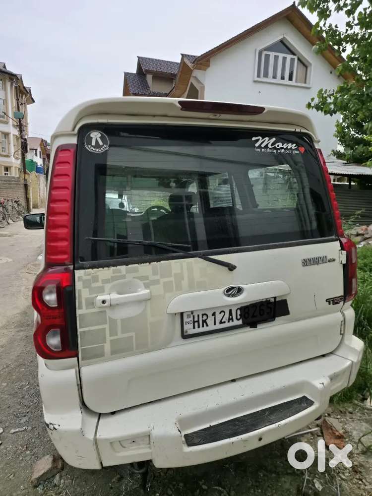 Scorpio Mhawk Talking Kashmiri Owner