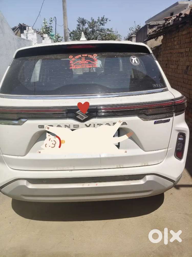 Maruti Suzuki Grand Vitara 2025 Petrol Well Maintained