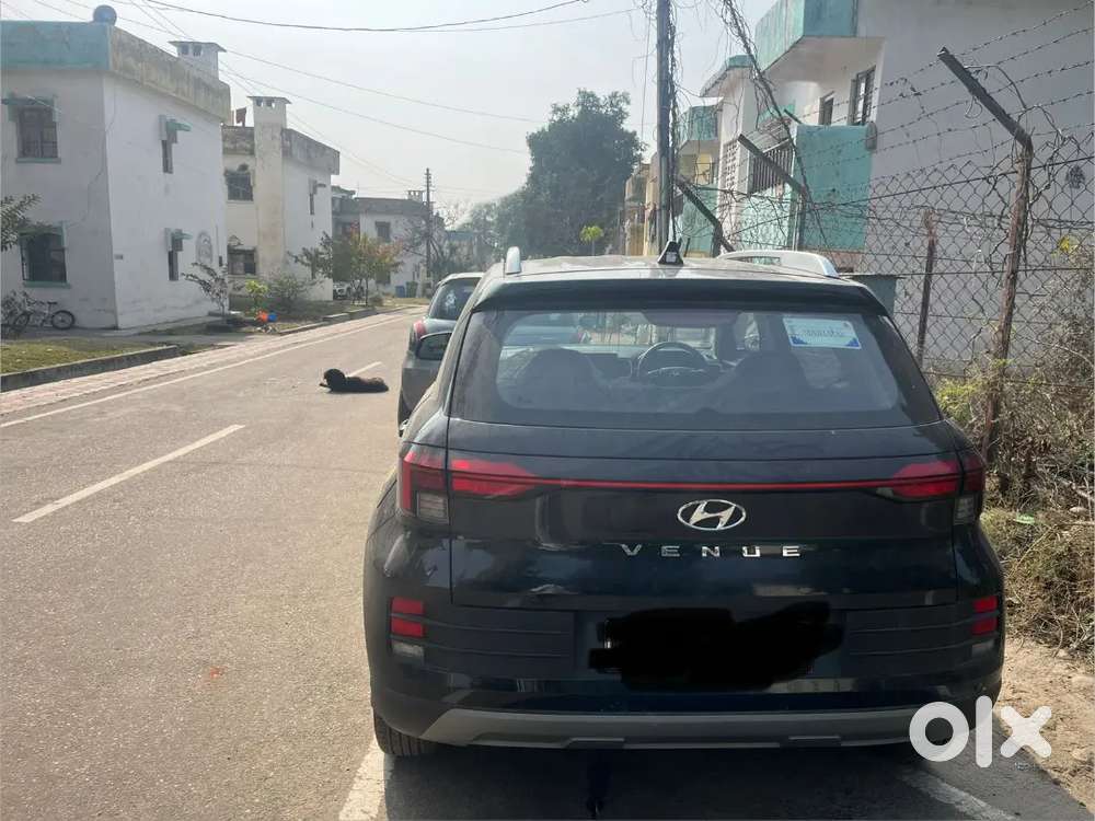 Hyundai Venue 2025 Petrol Well Maintained