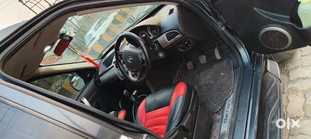 Family Cartata Safari