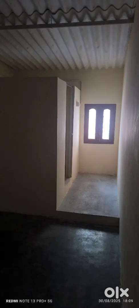 Rent house