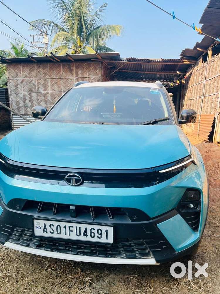 Tata Petrol 2024 Model