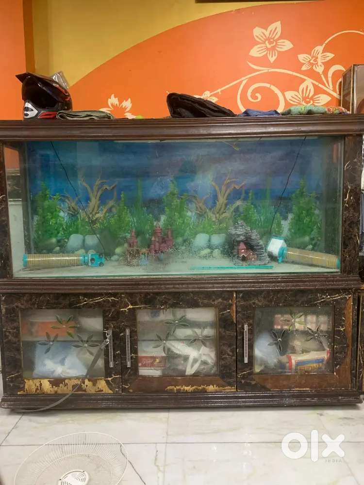 6 Feet Aquarium with Almirah for Sale