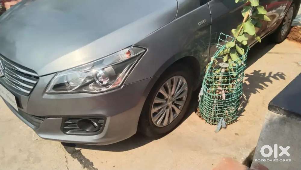 Maruti Suzuki Ciaz 2016 Diesel 156000 Km Driven