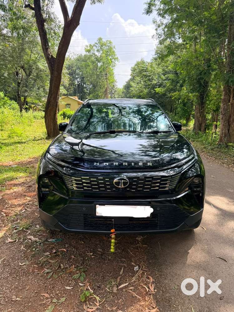 2024 Tata Harrier Diesel Automatic Year