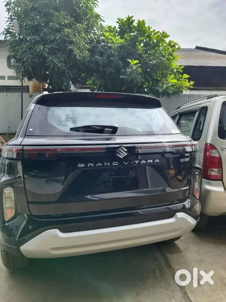 Maruti Suzuki Nexa Dimapur