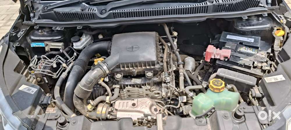 Tata Nexon 1.2 Revotron Xz Plus (s), 2023, Petrol