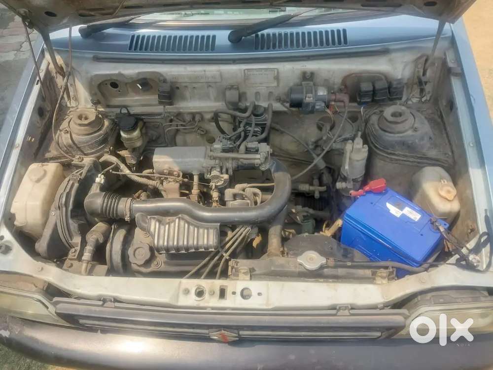 Well Maintained And Full Taken Care.