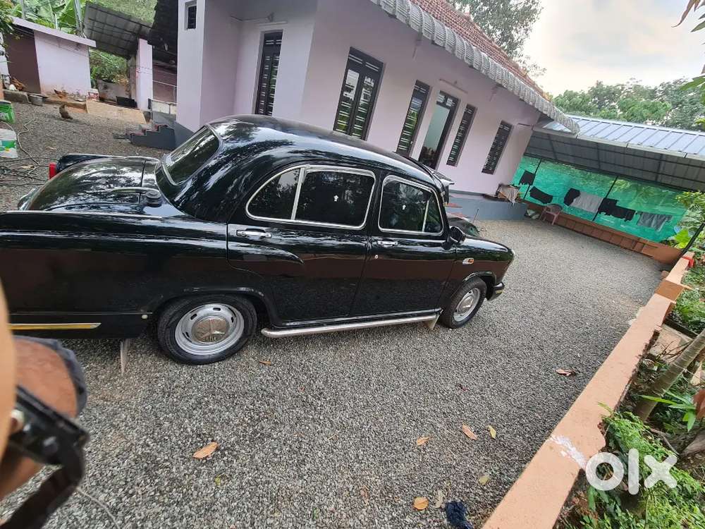 2012 Last Ambassador Registration