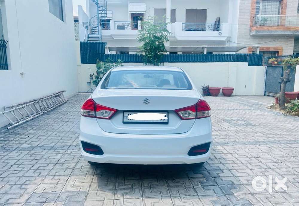 Ciaz Maruti Diesel 2016