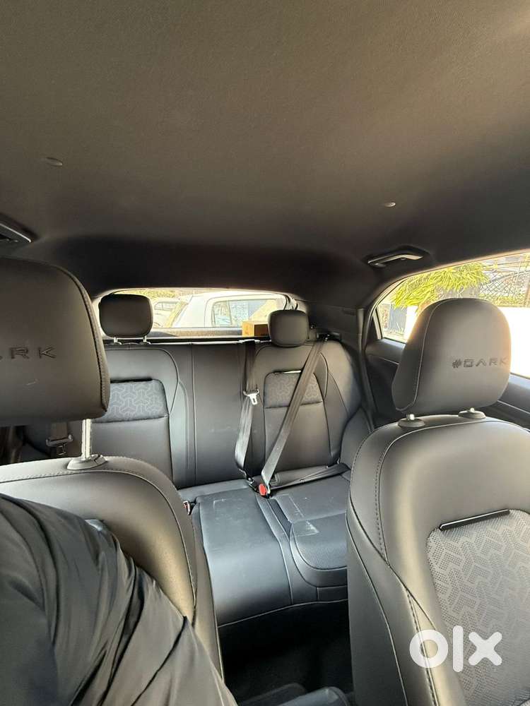 Tata Nexon Petrol 2025
