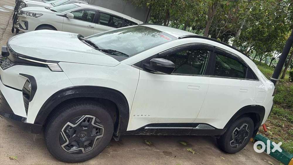 Tata Curvv 2025 Petrol Well Maintained