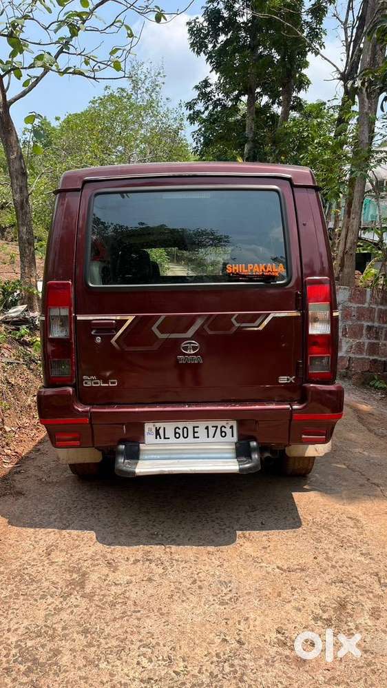 Sumo Gold Well Maintained