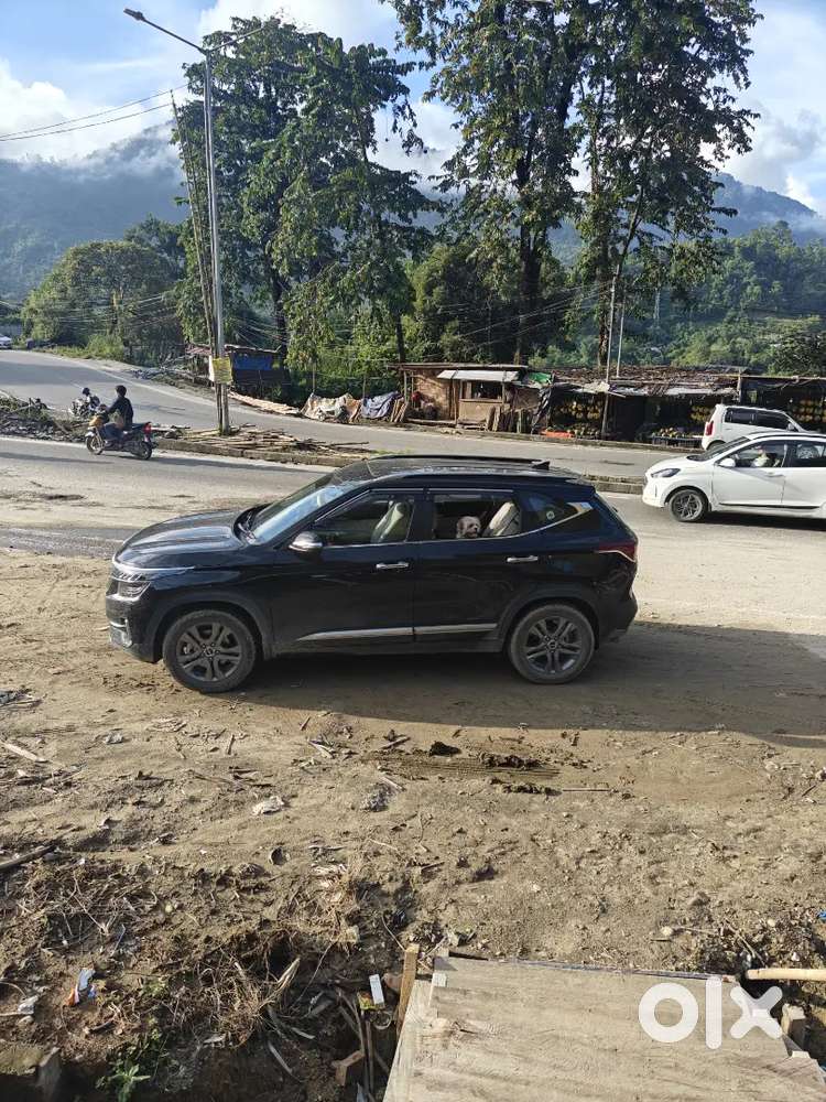 Kia Seltos 2022 Petrol 47000 Km Driven