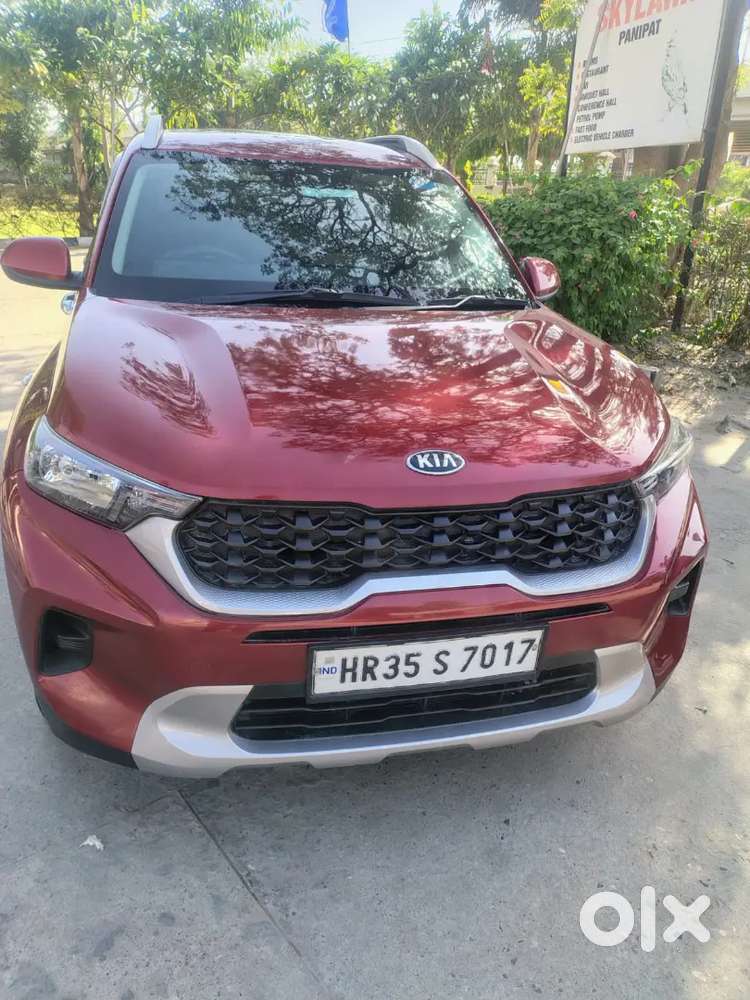 Red Beauty Colour German Buyer Contact Only