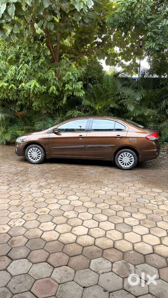 Ciaz 2018 Petrol Manual