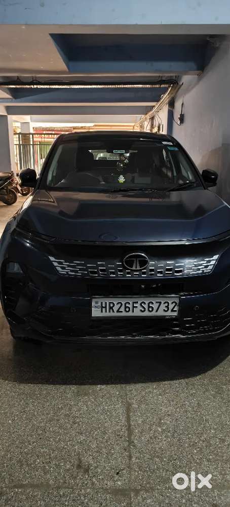 Tata Curvv 2025 Petrol Well Maintained