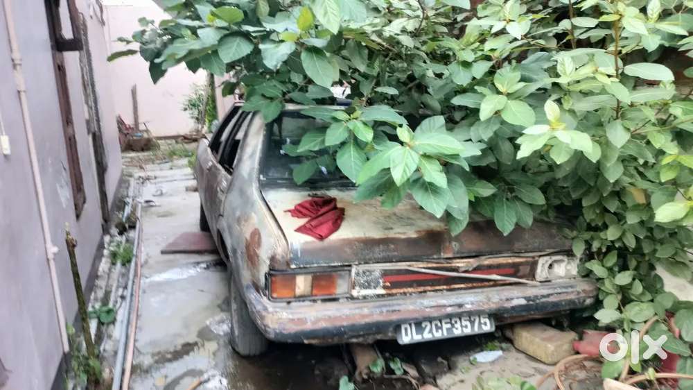 My Car Is Contessa Classic 1993 Petrol