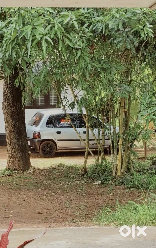 Maruti Zen 2000 Model Carburettor