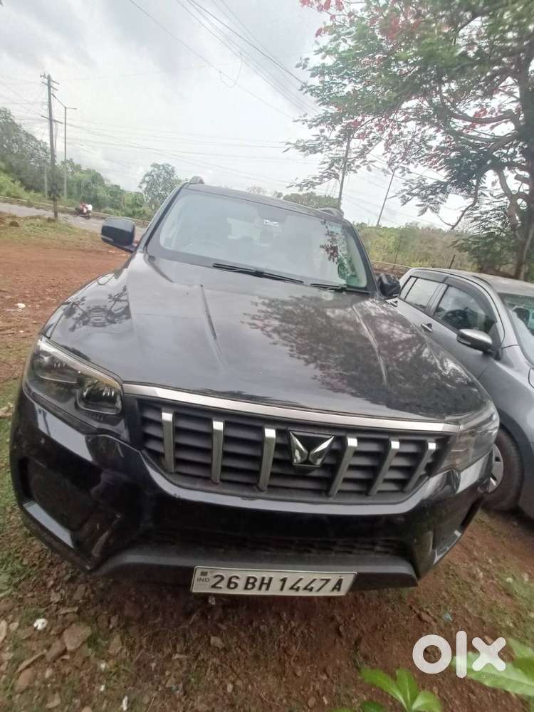 Napolean Black New Scorpio N