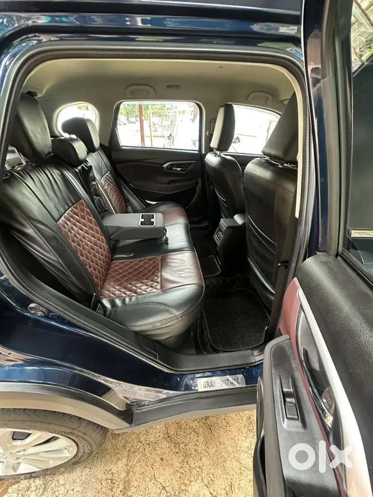 Maruti Suzuki Grand Vitara E20 Fuel