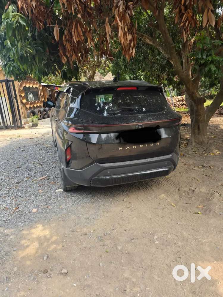 Tata Harrier 2024