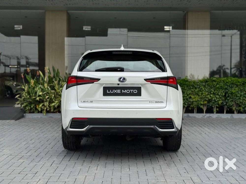 Lexus Nx Lexus-nx-300h-luxury, 2020, Petrol