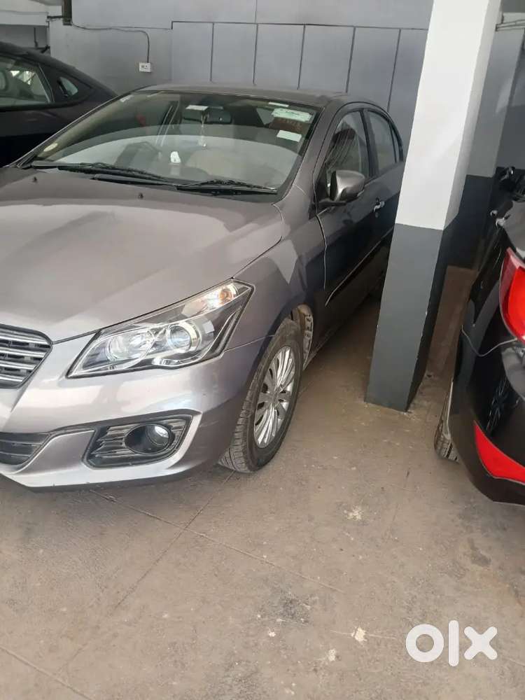 Maruti Suzuki Ciaz Zdi 2016 Diesel