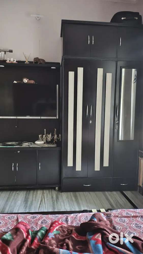 Tv panal and almirah