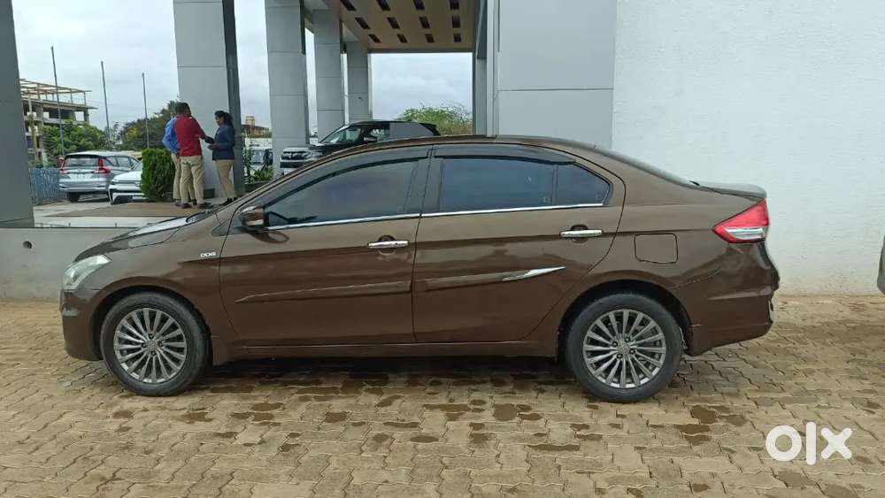 Maruti Suzuki Ciaz Zdi+ Shvs Topend Modle Showroom Maintained Vehicle