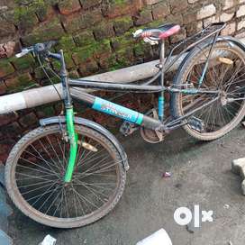 Olx cycle 1000 sale