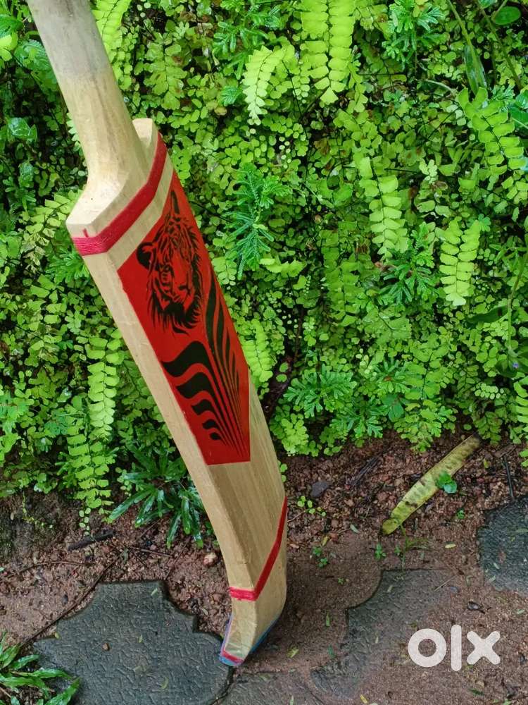 Cricket bat