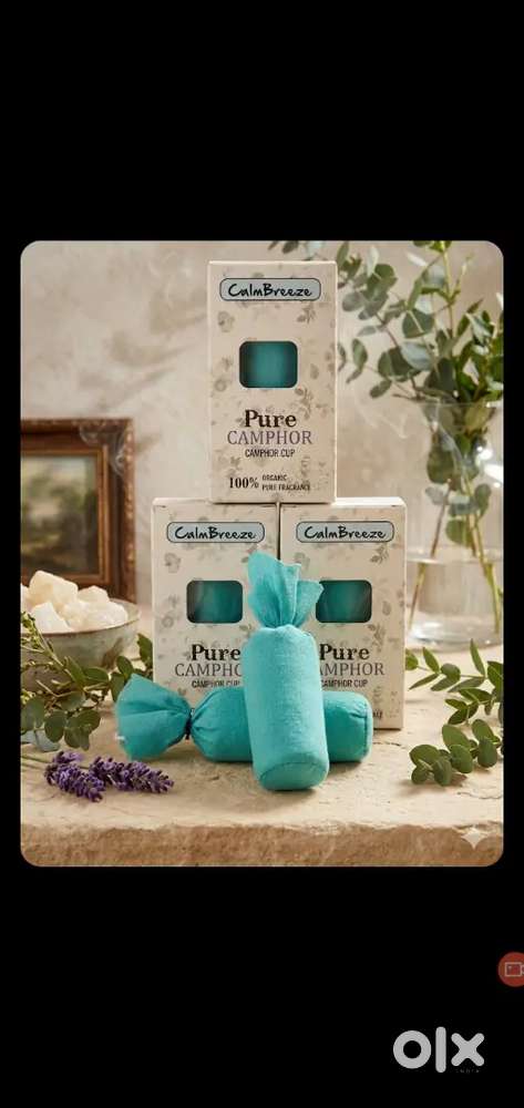Pure Organic Camphor Cup Air Freshener (Buy 1 Get 1 Free)