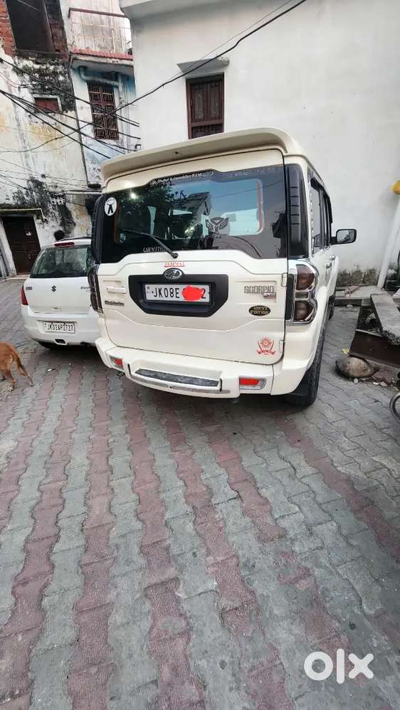 Neat N Clean Full Superb