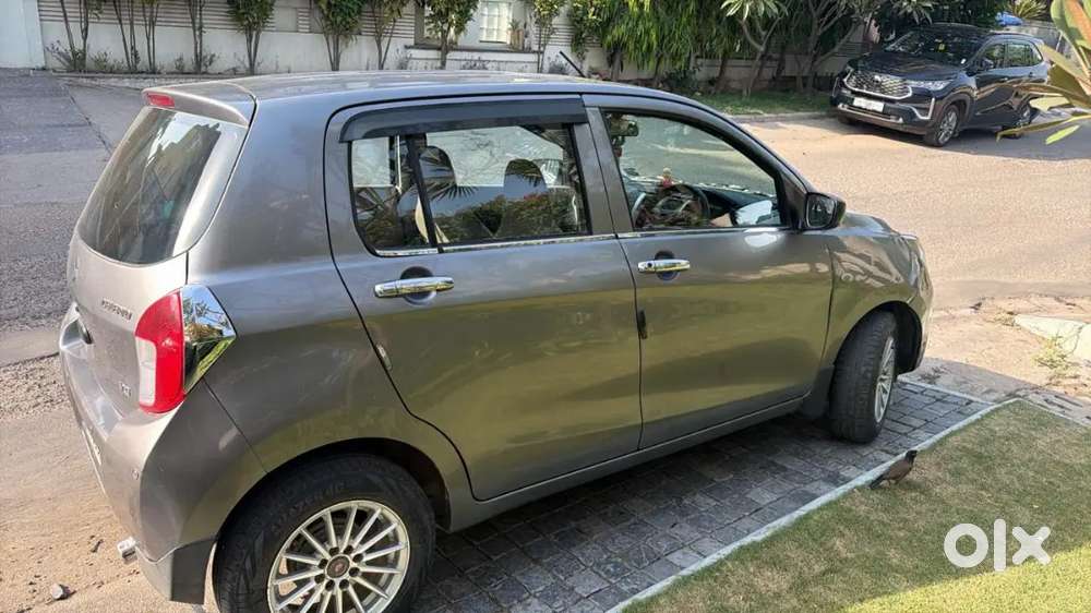 Maruti Suzuki Celerio 2015 Car