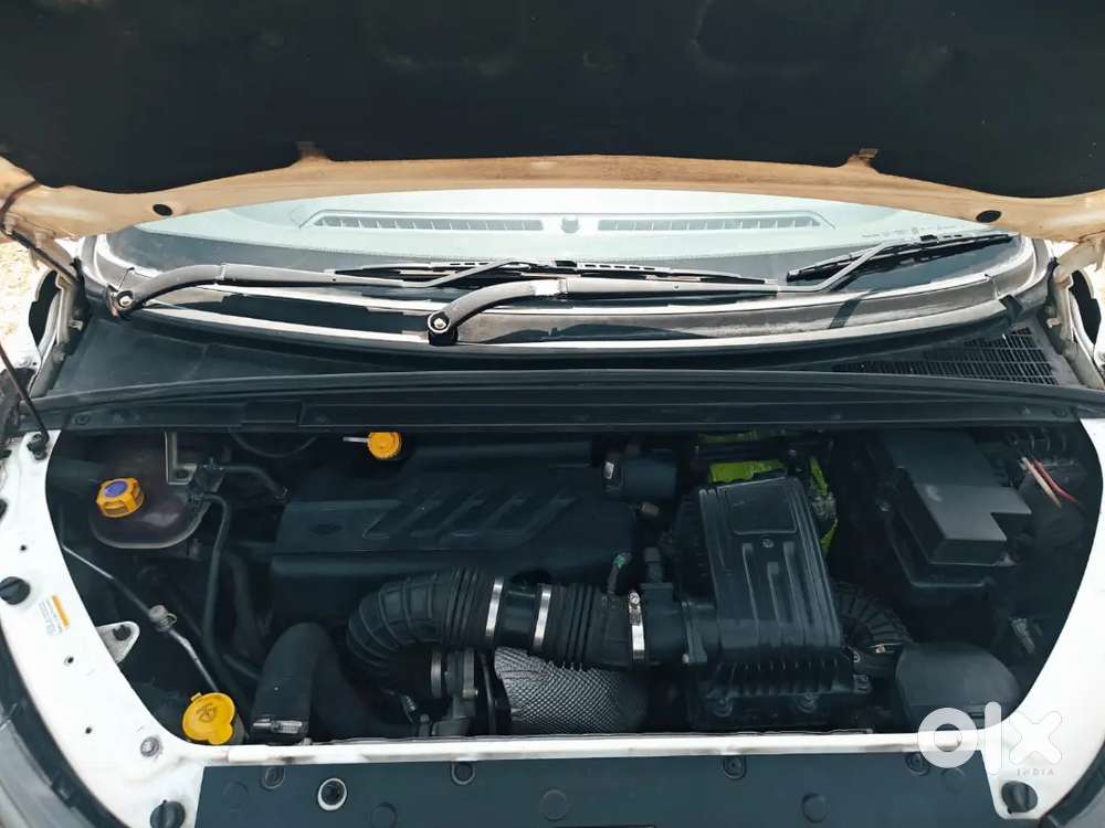 All Clear Documents Marrazo M2