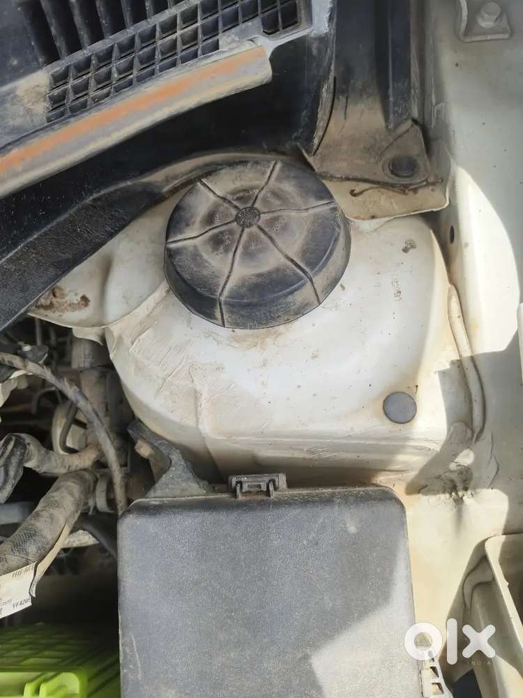 Maruti Suzuki Swift 2019 Petrol 49000 Km Driven