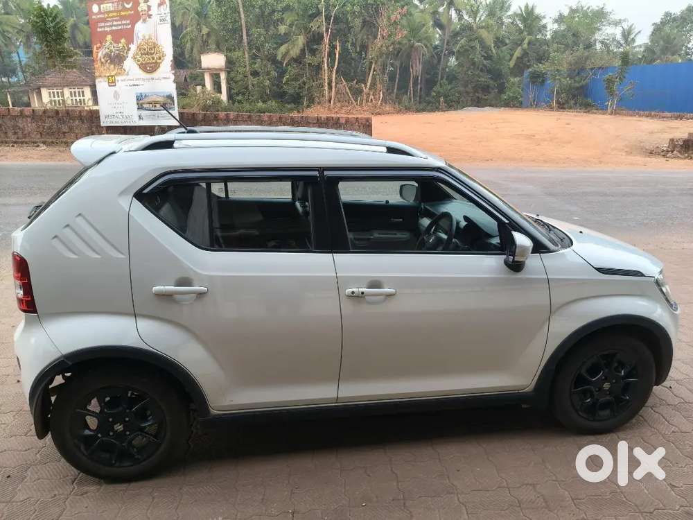 Maruti  Ignis Single Owner Topend Alpha 2024 Petrol 18000 Km Driven