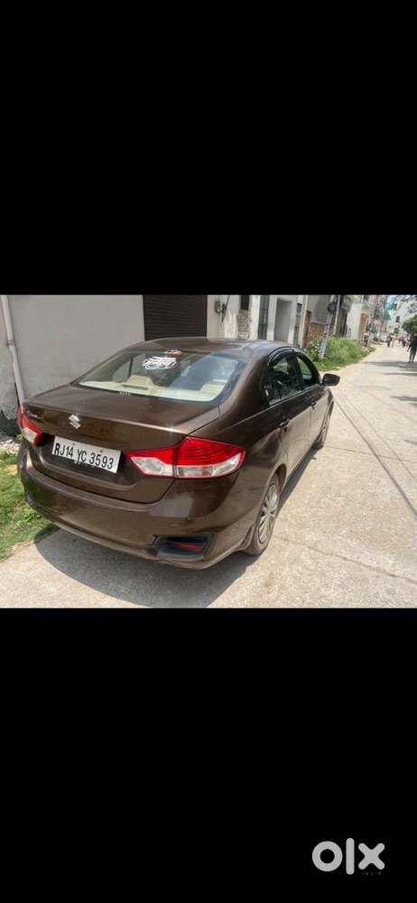 Maruti Suzuki Car 2017