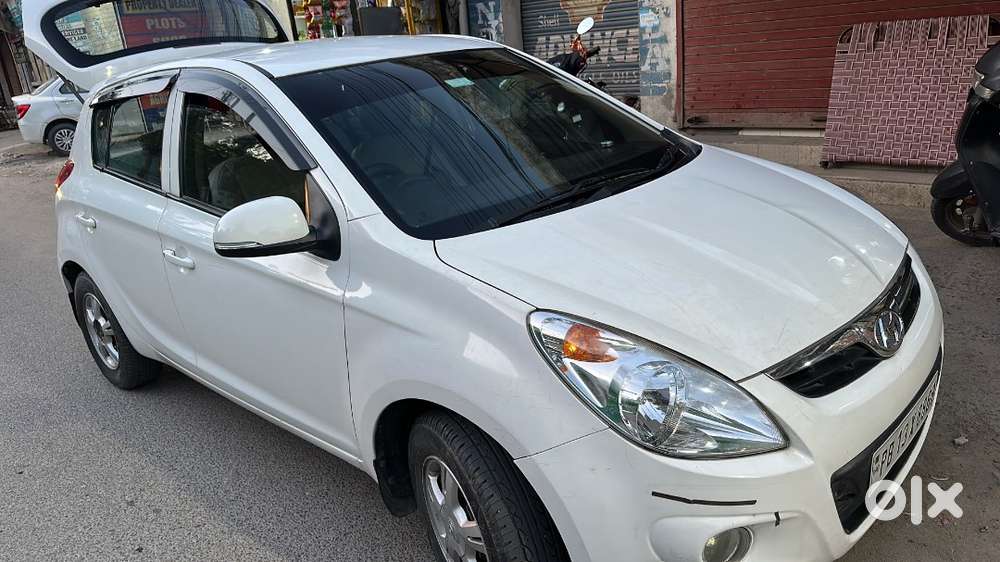 2010 Model