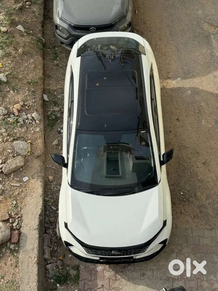 Tata Curvv 2024 Petrol 7215 Km Driven