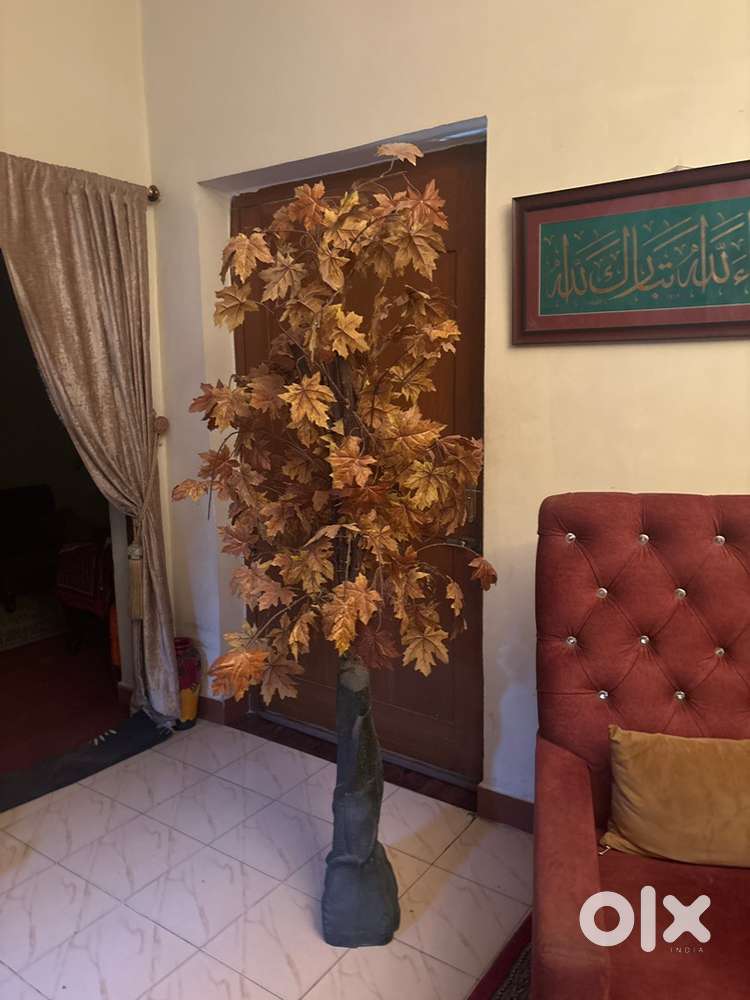 Yellow leaves
