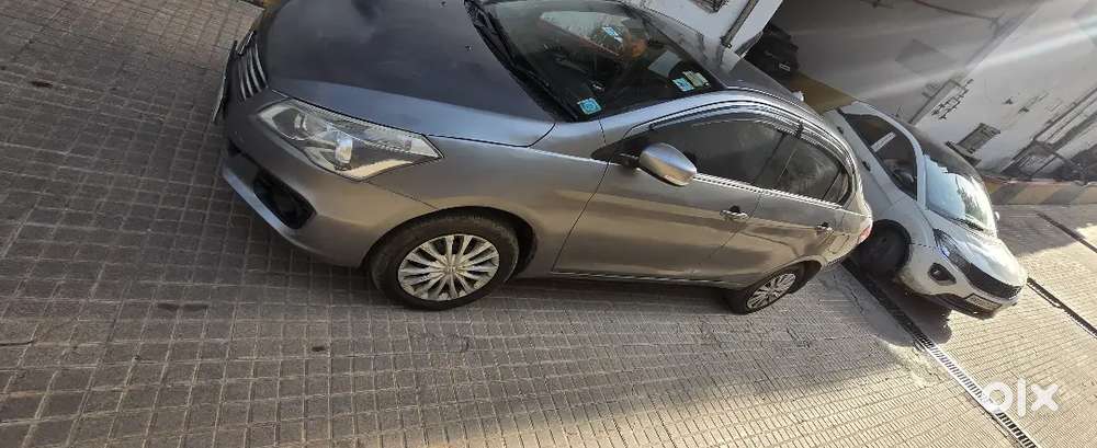 Maruti Suzuki Ciaz Diesel 2018 Variant