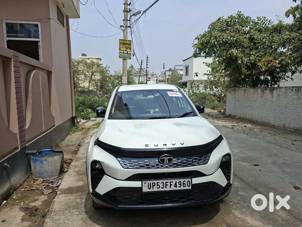 Tata Curv Pure Plus Model