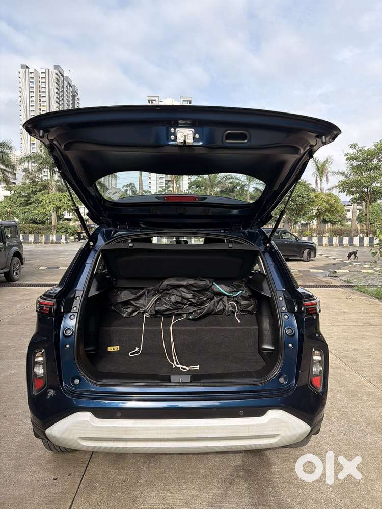 Maruti Suzuki Grand Vitara 1.5 Delta Cng, 2024, Cng & Hybrids