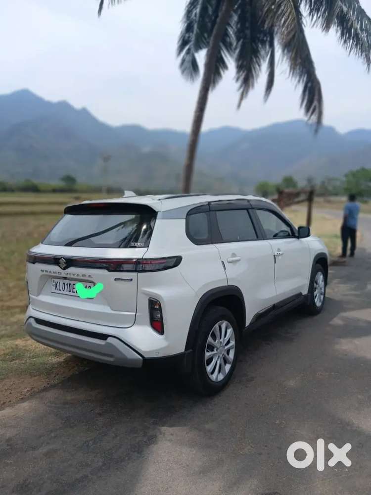 Maruti Suzuki Grand Vitara 2024 Delta Smart Hybrid