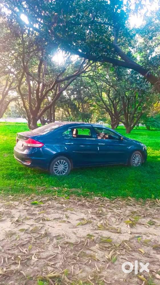 Maruti Suzuki Ciaz Delta 2017